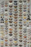 Fifteen Swallowtail butterflies (Family Papilionidae) in three columns-Marian Ellis Rowan-Giclee Print