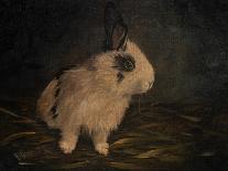 Resting Bunny Rabbit VII-Marian Parsons-Art Print