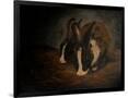 Gramercy Black