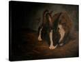 Stretched Canvas