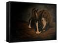 Canvas Black