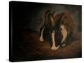 Stretched Canvas