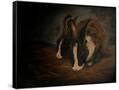 Canvas Black