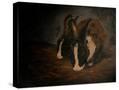 Stretched Canvas