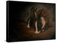 Canvas Black