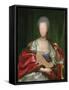 Mariana De Silva Y Sarmiento (Oil on Panel)-Anton Raphael Mengs-Framed Stretched Canvas
