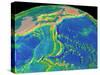 Mariana Trench Sea Floor Topography-us Geological Survey-Stretched Canvas