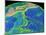 Mariana Trench Sea Floor Topography-us Geological Survey-Mounted Photographic Print