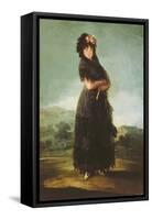 Mariana Waldstein (1763-1808) 9th Marquesa of Santa Cruz, circa 1797-99-Francisco de Goya-Framed Stretched Canvas