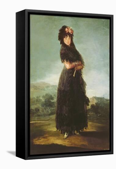 Mariana Waldstein (1763-1808) 9th Marquesa of Santa Cruz, circa 1797-99-Francisco de Goya-Framed Stretched Canvas