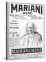 Mariani Wine Good for Health Strength Energy and Vitality as Recommended by His Holiness the Pope-null-Stretched Canvas