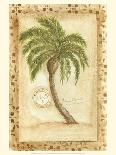 Phoenix Date Palm-Marianne D^ Cuozzo-Framed Stretched Canvas