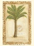 Phoenix Date Palm-Marianne D^ Cuozzo-Framed Stretched Canvas