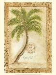 Palmetto Palm-Marianne D^ Cuozzo-Framed Stretched Canvas