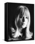 Marianne Faithfull-null-Framed Stretched Canvas