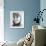 Marianne Faithfull-null-Framed Photo displayed on a wall