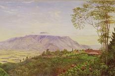 Tea Gathering in Mr. Hoelle's Plantation at Garoet, Java, circa 1875 (Board)-Marianne North-Mounted Giclee Print