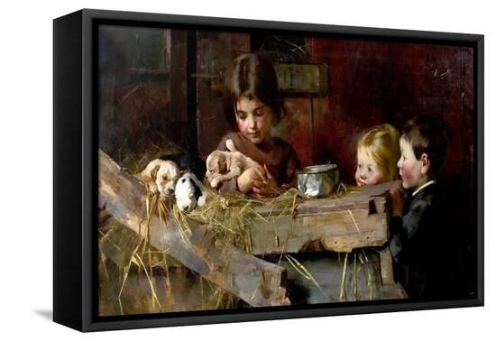 Stretched Canvas Print, , large