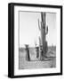 Maricopa Women Gathering Fruit From Saguaro Cacti-Edward Sheriff Curtis-Framed Premium Giclee Print