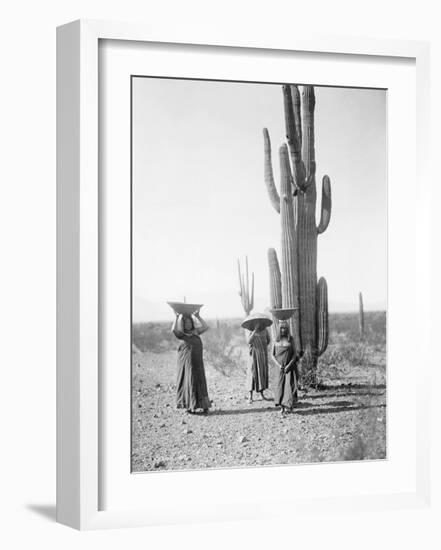 Maricopa Women Gathering Fruit From Saguaro Cacti-Edward Sheriff Curtis-Framed Premium Giclee Print