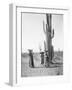 Maricopa Women Gathering Fruit From Saguaro Cacti-Edward Sheriff Curtis-Framed Premium Giclee Print