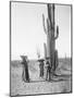 Maricopa Women Gathering Fruit From Saguaro Cacti-Edward Sheriff Curtis-Mounted Premium Giclee Print