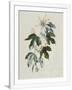 Gramercy White