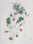 Crane's Bill-Marie-Anne-Laminated Giclee Print