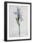 Black Frame