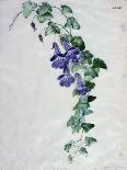 Flower Pieces-Marie-Anne-Stretched Canvas