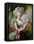 Marie Antoinette (1755-93) after Vigee-Lebrun-Louise Campbell Clay-Framed Stretched Canvas