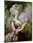 Marie Antoinette (1755-93) after Vigee-Lebrun-Louise Campbell Clay-Mounted Giclee Print