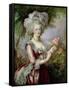 Marie Antoinette (1755-93) after Vigee-Lebrun-Louise Campbell Clay-Framed Stretched Canvas