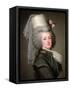 Marie-Antoinette (1755-93) of Habsbourg-Lorraine, Archduchess of Austria, Queen of France-Adolf Ulrich Wertmuller-Framed Stretched Canvas