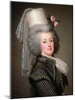Marie-Antoinette (1755-93) of Habsbourg-Lorraine, Archduchess of Austria, Queen of France-Adolf Ulrich Wertmuller-Mounted Giclee Print