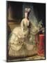 Marie Antoinette (1755-93) Queen of France, 1779-Elisabeth Louise Vigee-LeBrun-Mounted Premium Giclee Print