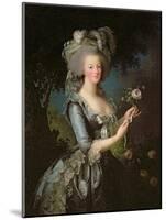 Marie Antoinette (1755-93) with a Rose, 1783-Elisabeth Louise Vigee-LeBrun-Mounted Giclee Print