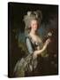 Marie Antoinette (1755-93) with a Rose, 1783-Elisabeth Louise Vigee-LeBrun-Stretched Canvas