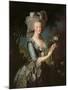 Marie Antoinette (1755-93) with a Rose, 1783-Elisabeth Louise Vigee-LeBrun-Mounted Giclee Print