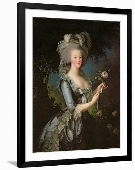 Marie Antoinette (1755-93) with a Rose, 1783-Elisabeth Louise Vigee-LeBrun-Framed Giclee Print