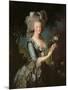Marie Antoinette (1755-93) with a Rose, 1783-Elisabeth Louise Vigee-LeBrun-Mounted Giclee Print