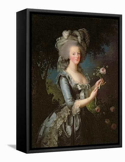 Marie Antoinette (1755-93) with a Rose, 1783-Elisabeth Louise Vigee-LeBrun-Framed Stretched Canvas