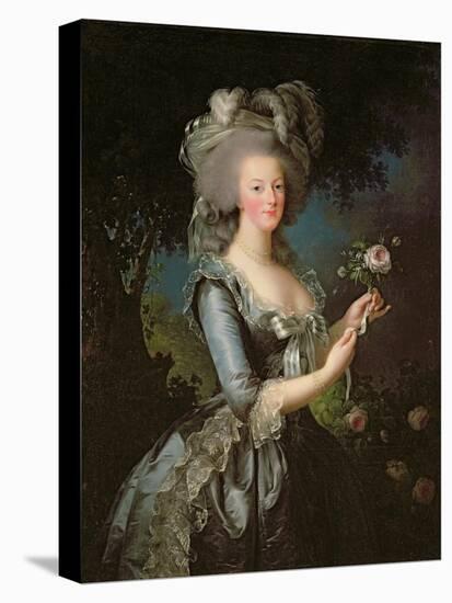Marie Antoinette (1755-93) with a Rose, 1783-Elisabeth Louise Vigee-LeBrun-Stretched Canvas
