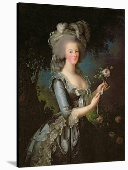 Marie Antoinette (1755-93) with a Rose, 1783-Elisabeth Louise Vigee-LeBrun-Stretched Canvas