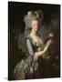 Marie Antoinette (1755-93) with a Rose, 1783-Elisabeth Louise Vigee-LeBrun-Stretched Canvas