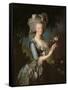 Marie Antoinette (1755-93) with a Rose, 1783-Elisabeth Louise Vigee-LeBrun-Framed Stretched Canvas