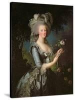 Marie Antoinette (1755-93) with a Rose, 1783-Elisabeth Louise Vigee-LeBrun-Stretched Canvas