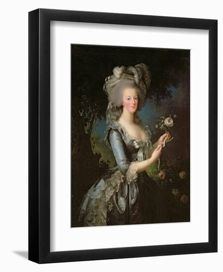 Marie Antoinette (1755-93) with a Rose, 1783-Elisabeth Louise Vigee-LeBrun-Framed Premium Giclee Print