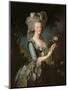 Marie Antoinette (1755-93) with a Rose, 1783-Elisabeth Louise Vigee-LeBrun-Mounted Premium Giclee Print