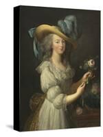 Marie-Antoinette, 1783-Elisabeth Louise Vigee Le Brun-Stretched Canvas